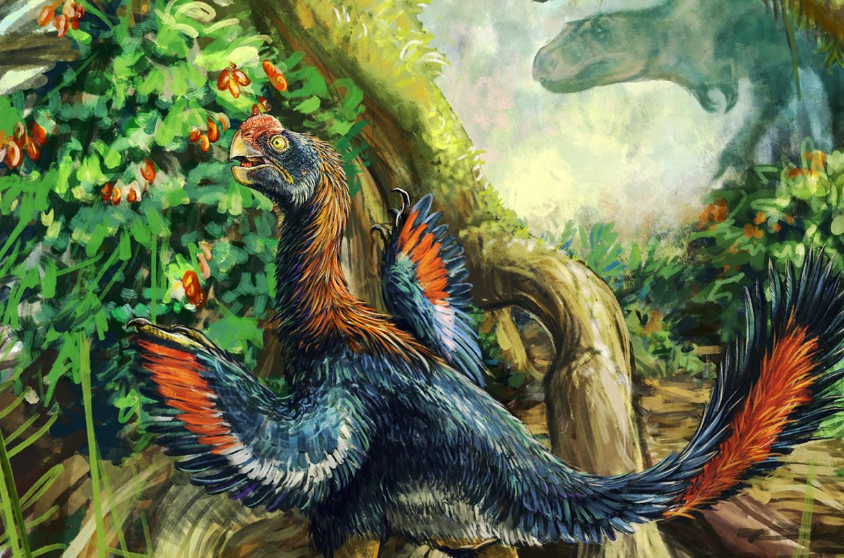 Artist&rsquo;s rendering of Infernogallus jamesi, a feathered, beaked dinosaur with blue-black and orange plumage, reaching toward red fruit on a bush, with a larger dinosaur in the background